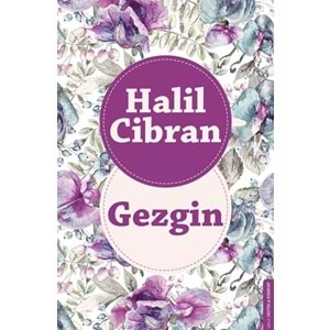 Gezgin