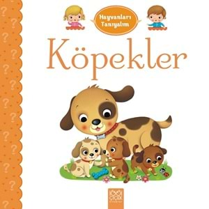 Köpekler - Hayvanları Tanıyalım