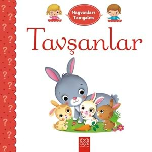 Tavşanlar - Hayvanları Tanıyalım