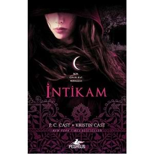 İntikam Bir Gece Evi Romanı