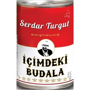 İçimdeki Budala