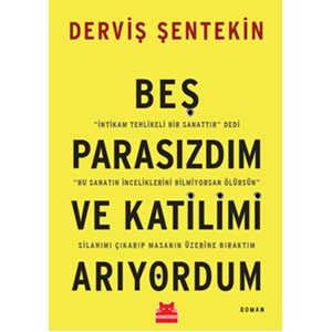 Beş Parasızdım ve Katilimi Arıyordum