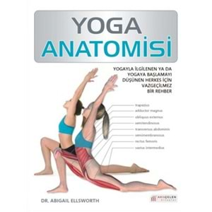 Yoga Anatomisi