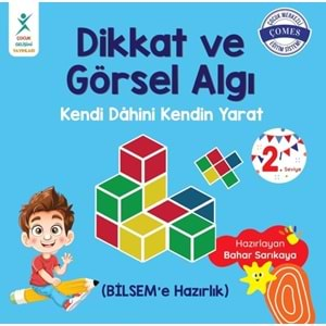 Dikkat ve Görsel Algı 2. Seviye