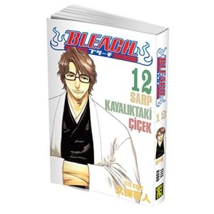 Bleach 12.Cilt