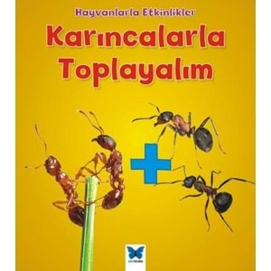 Hayvanlarla Etkinlikler - Karıncalarla Toplayalım