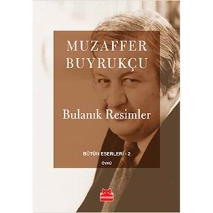 Bulanık Resimler Bütün Eserleri 2