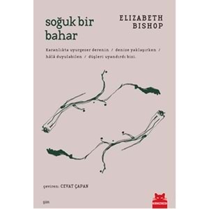 Soğuk Bir Bahar