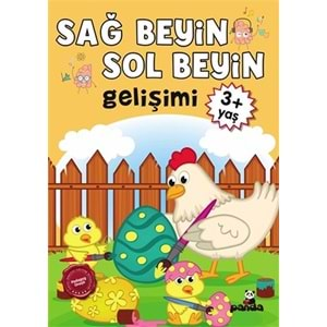 3 Yaş Sağ Beyin-Sol Beyin Gelişimi