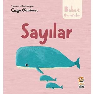 Bebek Üniversitesi: Hikâyeli İlk Kavramlarım 2 - Sayılar