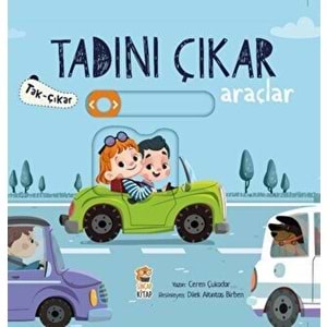 Tadını Çıkar Araçlar