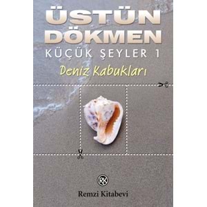 Küçük Şeyler 1 Deniz Kabukları