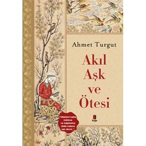 Akıl ve Aşk Ötesi