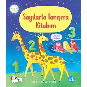 Sayılarla Tanışma Kitabım (Ciltli)