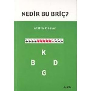 Nedir Bu Briç