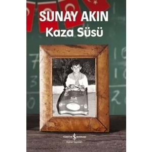 Kaza Süsü