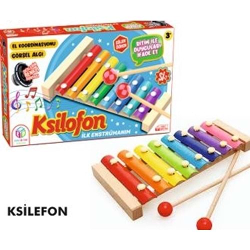 Hobi Eğitim Dünyası Ksilefon