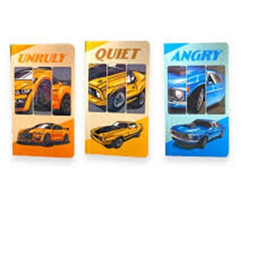 Lilamor Classıc Car Not Defteri 9x16 48 Syf 180 li (Ahşap Stant Hediyeli)