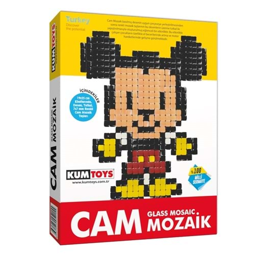 Redka Cam Mozaik Sanatı Eğitim Seti