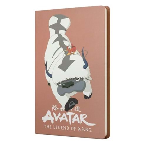 Avatar Appa ve Aang Sert Kapak Butik Defter Puce Rengi
