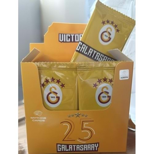 Galatasaray Futbolcu 5 Yıldızlı Kartları Takımı 24 Lü