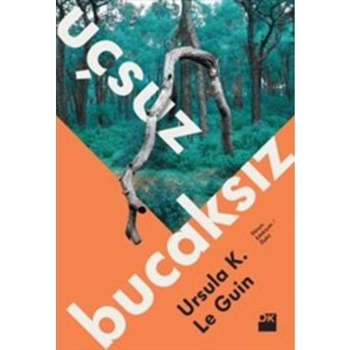 Uçsuz Bucaksız