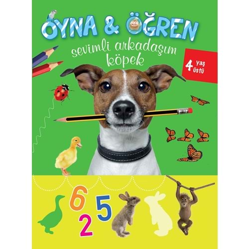 Sevimli Arkadaşım Köpek