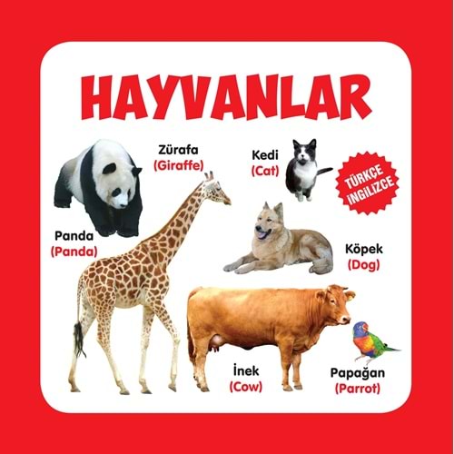 Hayvanlar