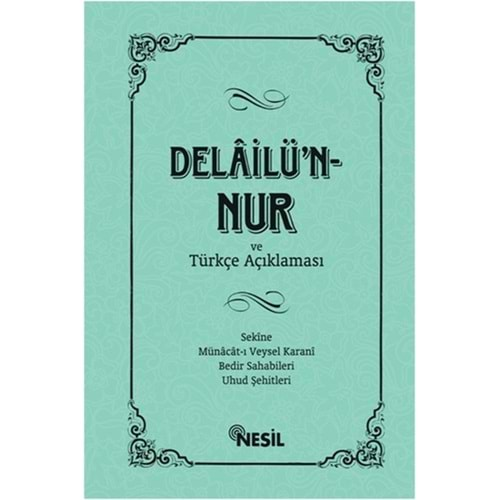 Delailün Nur