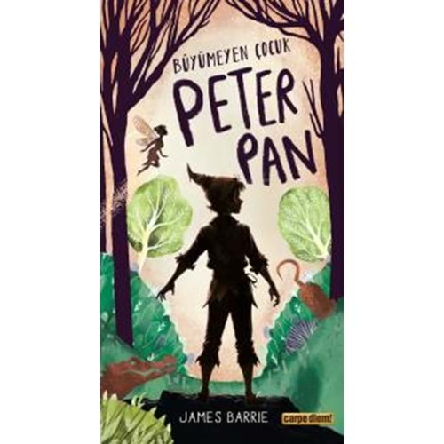 Büyümeyen Çocuk Peter Pan