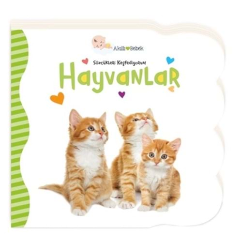 Hayvanlar - Sözcükleri Keşfediyorum