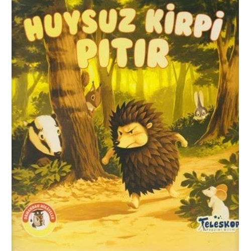 Huysuz Kirpi Pıtır Ormandan Hikayeler