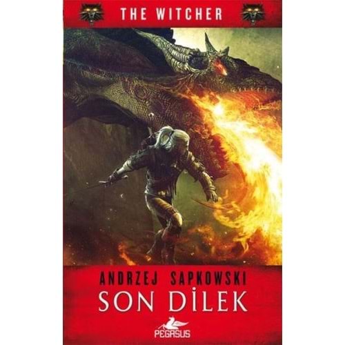 The Witcher Serisi 1 Son Dilek