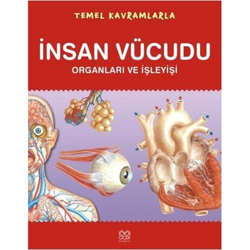 Temel Kavramlarla İnsan Vücudu