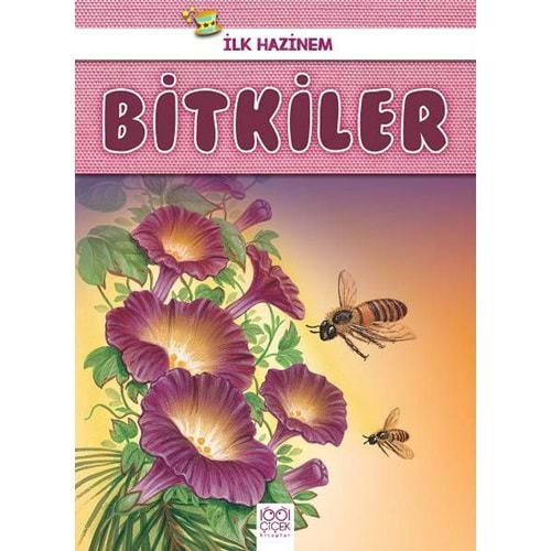 Bitkiler