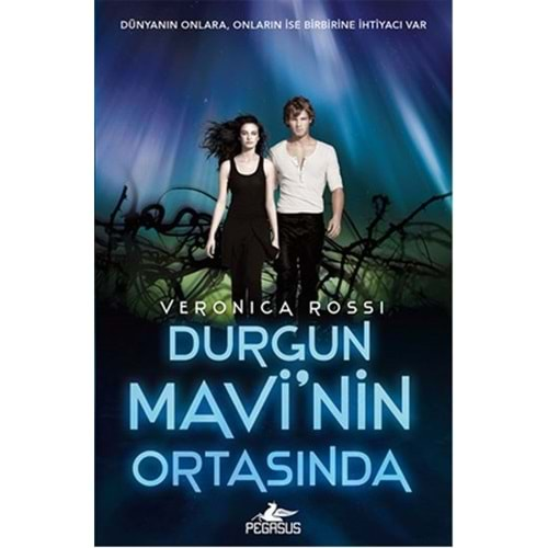 Durgun Mavi'nin Ortasında