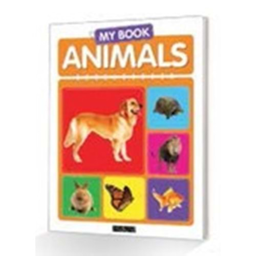 My Book Animals - Okul Öncesi İlk Kelimelerim