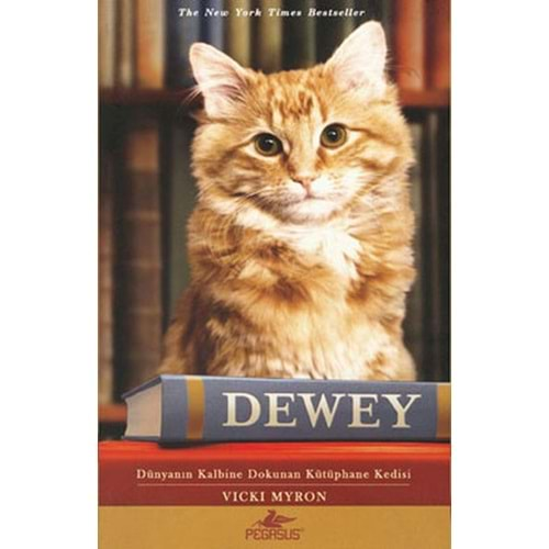 Dewey Cep Boy