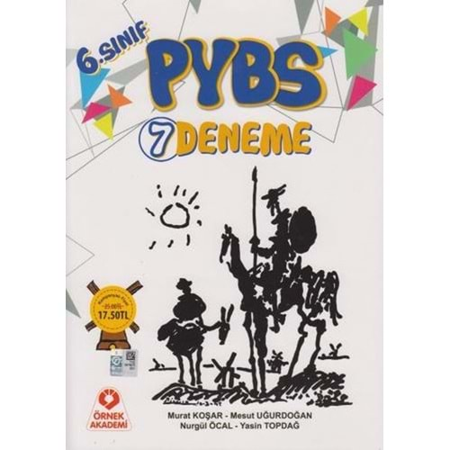 Örnek Akademi 6. Sınıf PYBS 7 Deneme