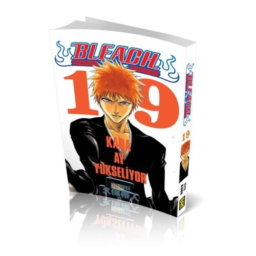 Bleach 19.Cilt