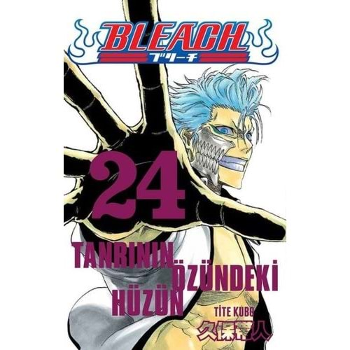 Bleach 24.Cilt