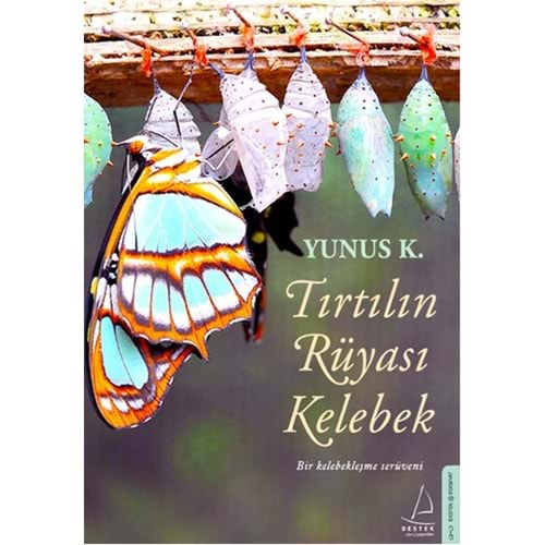 Tırtılın Rüyası Kelebek