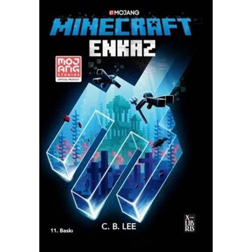 Minecraft Enkaz