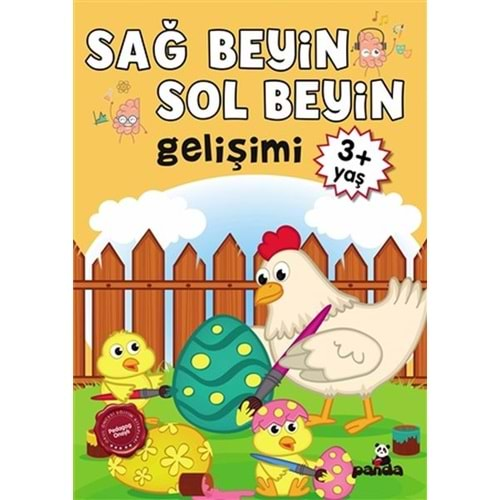 3 Yaş Sağ Beyin-Sol Beyin Gelişimi