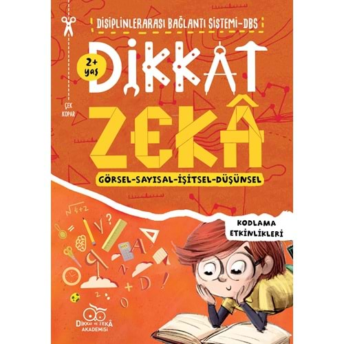 Dikkat Zeka 2 Yaş