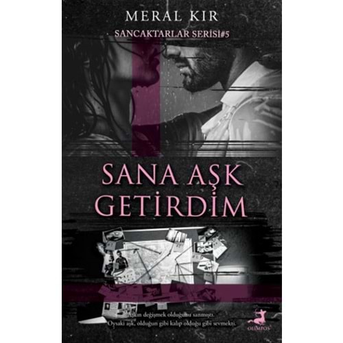 Sana Aşk Getirdim