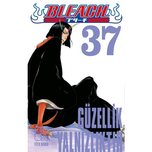 Bleach 37.Cilt