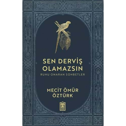 Sen Derviş Olamazsın