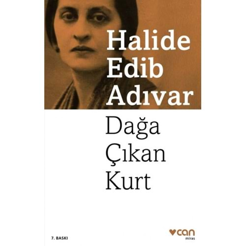 Dağa Çıkan Kurt