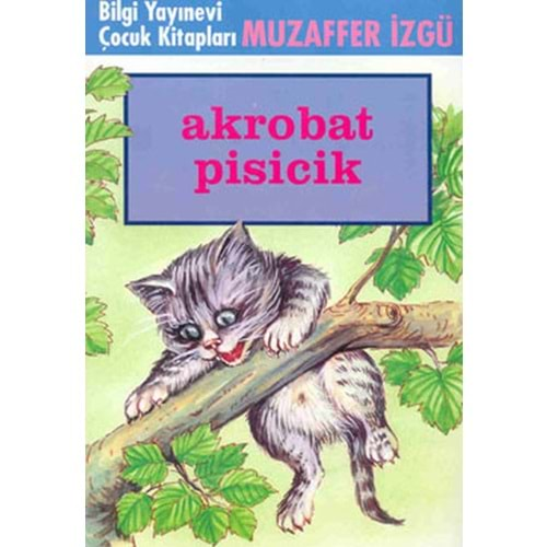 Akrobat Pisicik